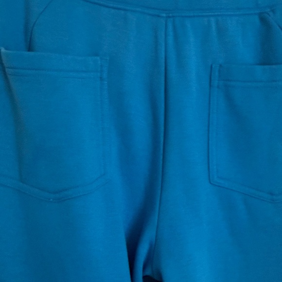 FP Movement by Free People | Game Day Patch Colorblock Pants size Large - Picture 5 of 7